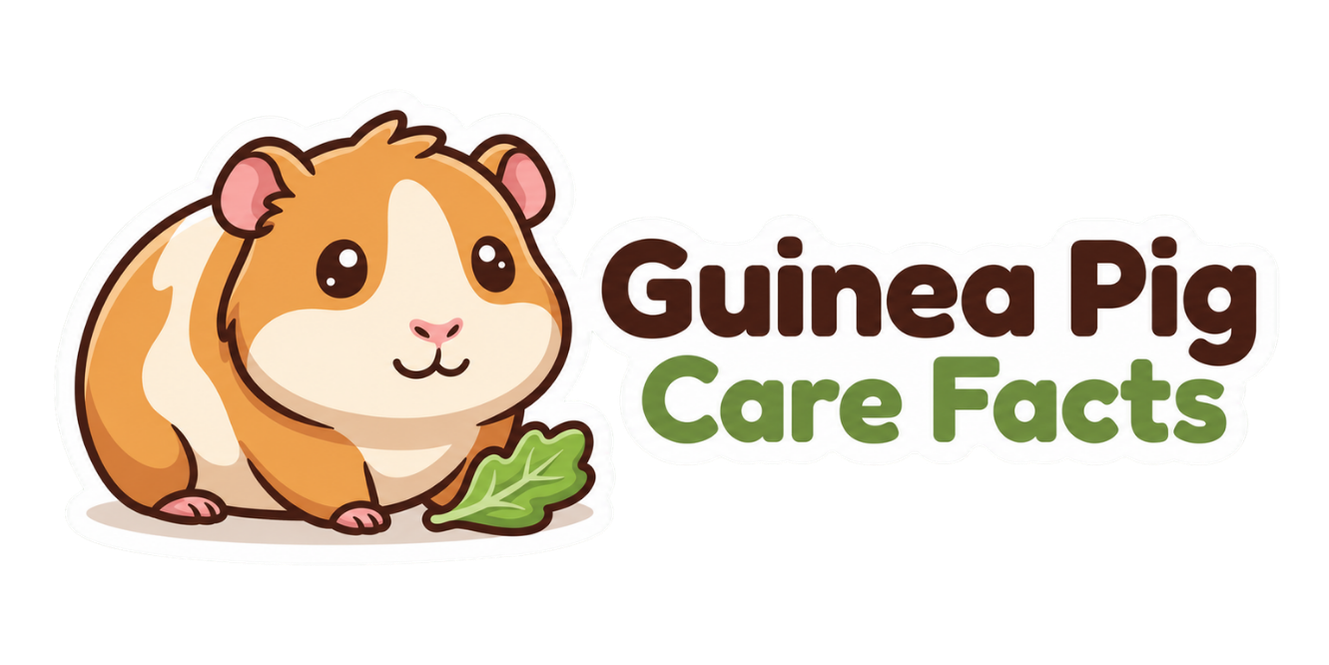 Guinea Pig Care Facts
